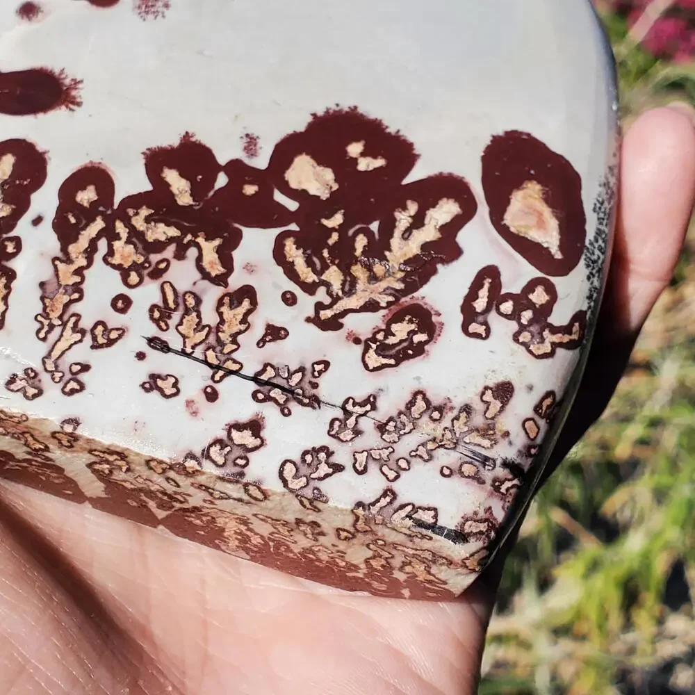 Picture Stone Jasper Dendritic Dendrite Display Freeform 706 Gram